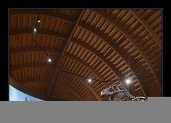 Enlace a Legado jurásico