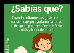 Enlace a Los beneficios de soltar gases