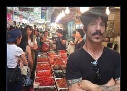 Enlace a La foto más Red Hot Chilli Pepper