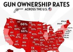 Enlace a Propietarios de armas en cada estado