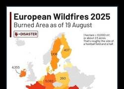 Enlace a Hectáreas arrasadas por los incendios de este verano