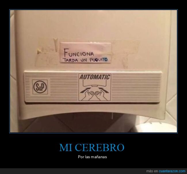 cerebro,funcionar,mañanas,secador de manos,tardar