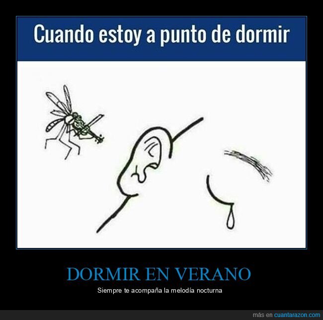 dormir,mosquitos,violín