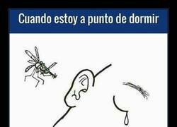 Enlace a Todas las noches igual...