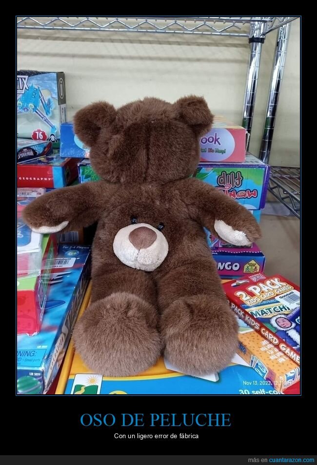 oso de peluche,cara,fails