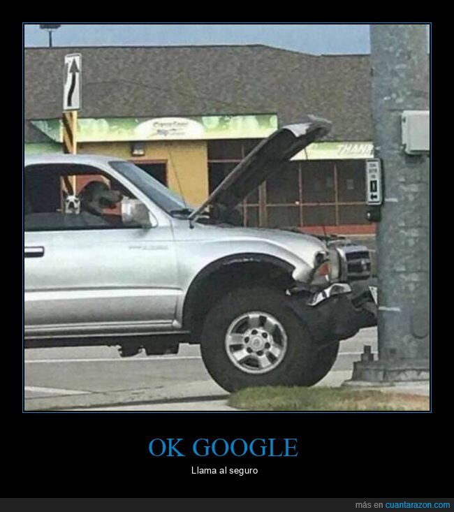 perros,coche,fails
