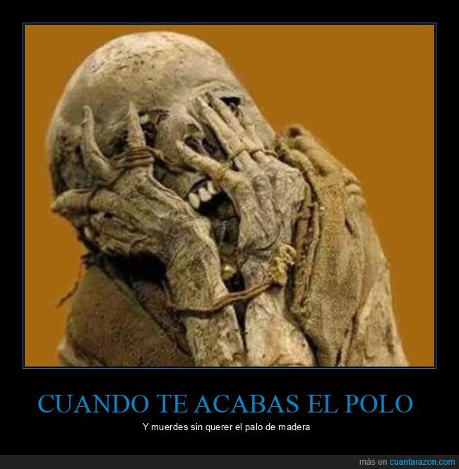 polo,morder,palo,momia