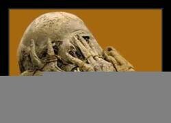 Enlace a El último mordisco