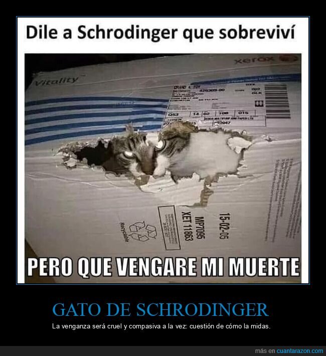 gato,schrondinger,medicion,facebook.