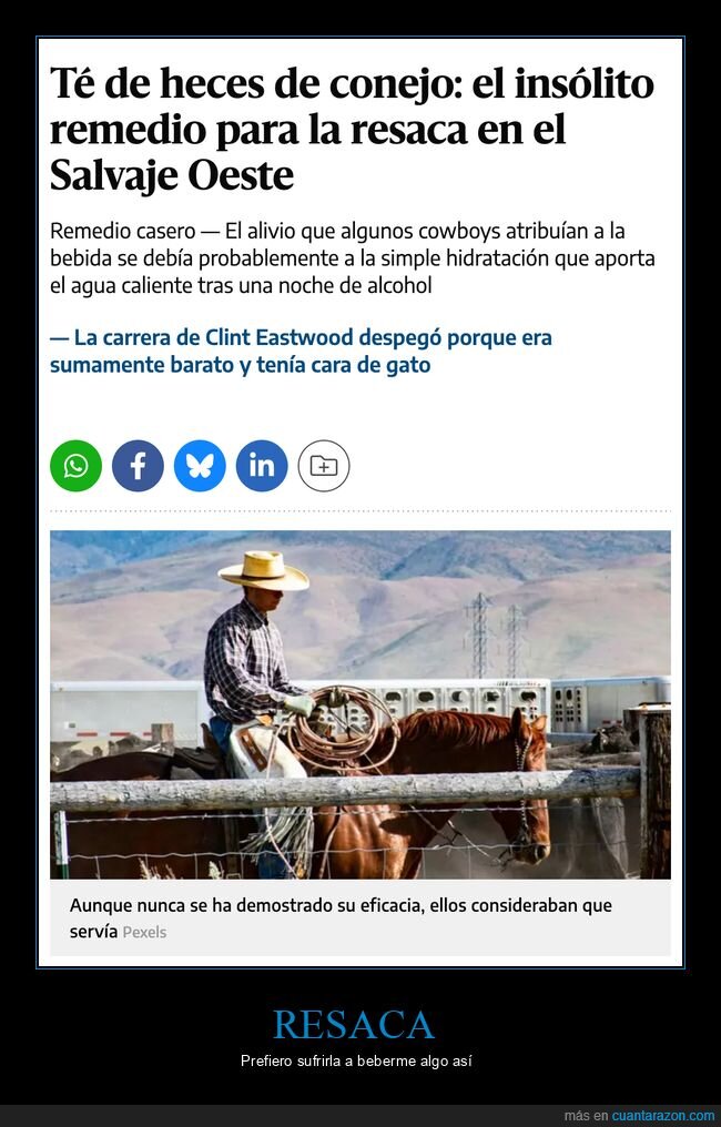 té,heces,conejo,resaca