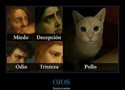 Enlace a Miradas que lo dicen todo