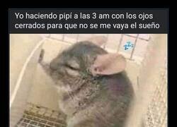 Enlace a Intentando no desvelarse