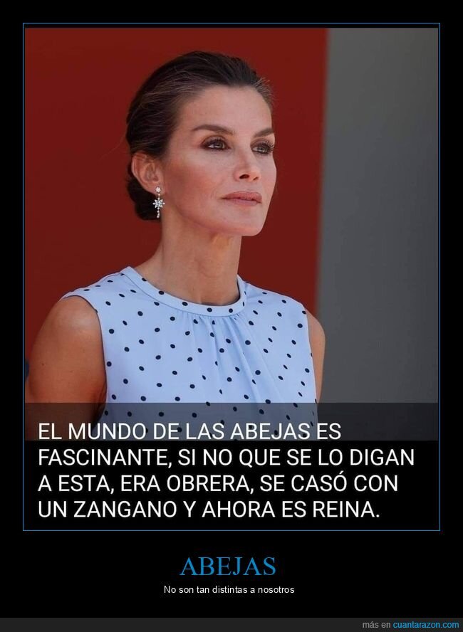 abejas,letizia,reina