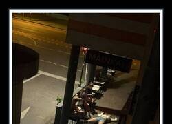 Enlace a Foto renacentista accidental