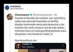 Enlace a Se nota que entiende de mujeres