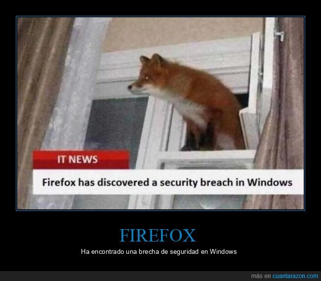 firefox,windows,zorro,ventana