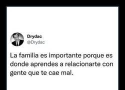 Enlace a La importancia de la familia