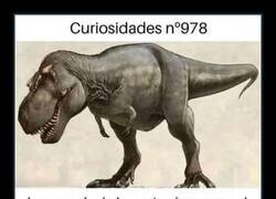 Enlace a La verdad sobre los T-Rex