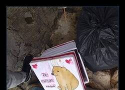 Enlace a La imagen más triste