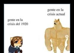 Enlace a inmunes a las crisis