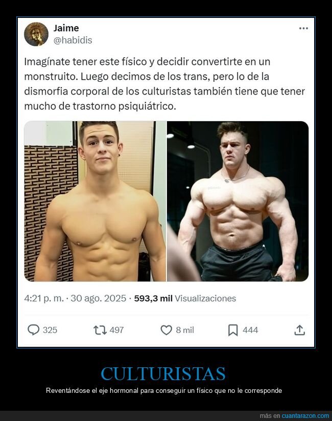 culturistas,cuerpo