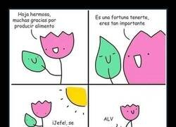 Enlace a La cruda realidad vegetal