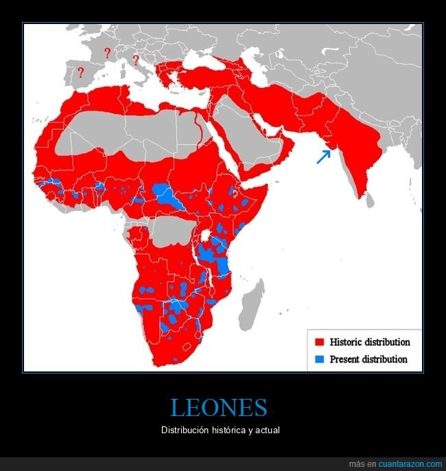 curiosidades,distribución,leones,mapas