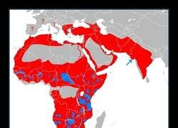 Enlace a Hábitat menguante
