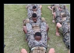 Enlace a Entrenamiento de élite