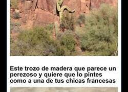 Enlace a Momentos divertidos en la naturaleza que nadie esperaba ver