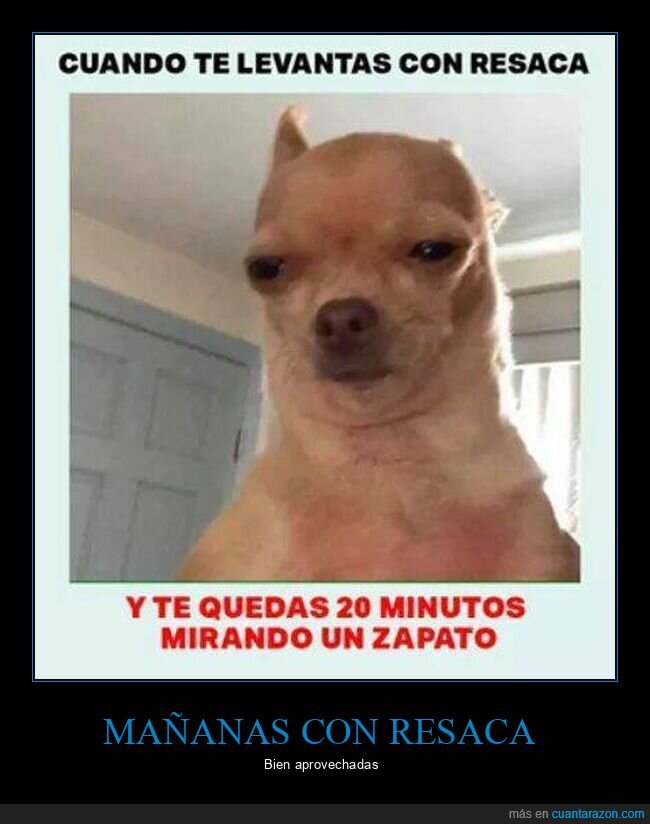 mirando,resaca,zapato