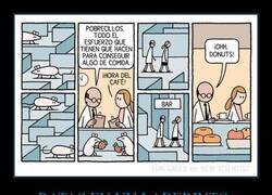 Enlace a Pobrecillos...