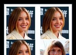 Enlace a La cuarta rueda del carrito