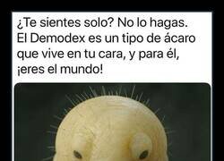 Enlace a Piensa en esto cada vez que te sientas solo