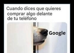 Enlace a Siempre atentos