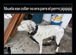 Enlace a Collar equivocado
