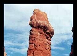 Enlace a Maravilla natural