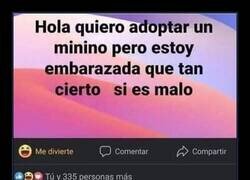 Enlace a Por preguntar