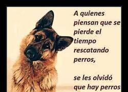 Enlace a ¿Una perdida de tiempo?