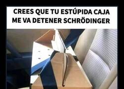 Enlace a Pues al final sí que estaba vivo...