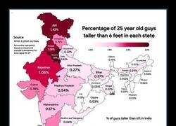 Enlace a Se puede apreciar un patrón...