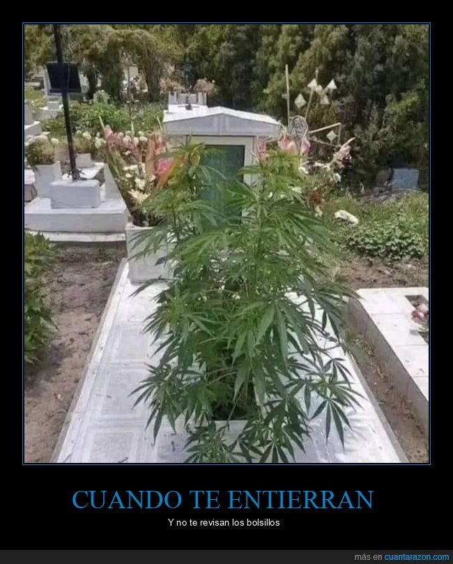 cementerio,maría,tumba,wtf