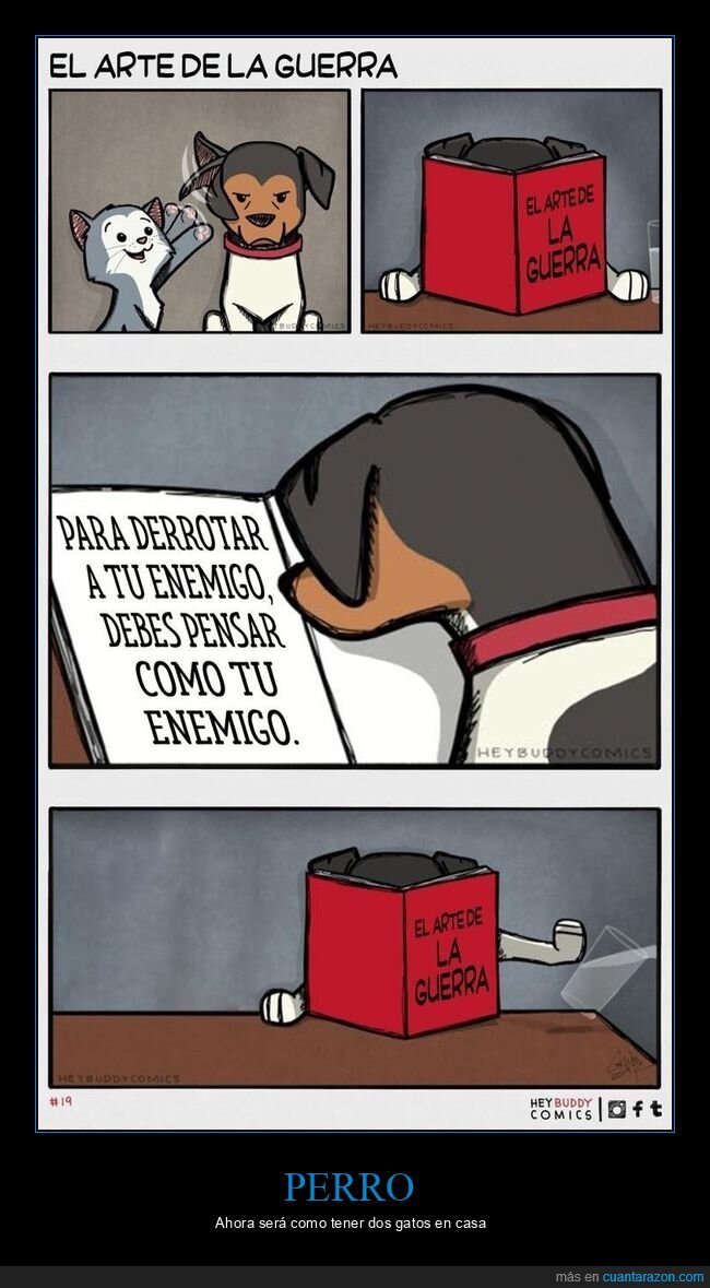 perro,gato,enemigo,pensar