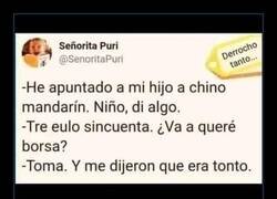 Enlace a Hablando mandarín fluido