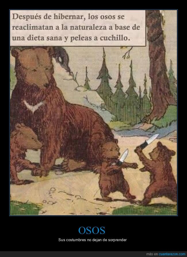 osos,hibernar,peleas