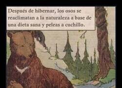 Enlace a La naturaleza es maravillosa