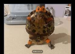 Enlace a Pieza de coleccionista