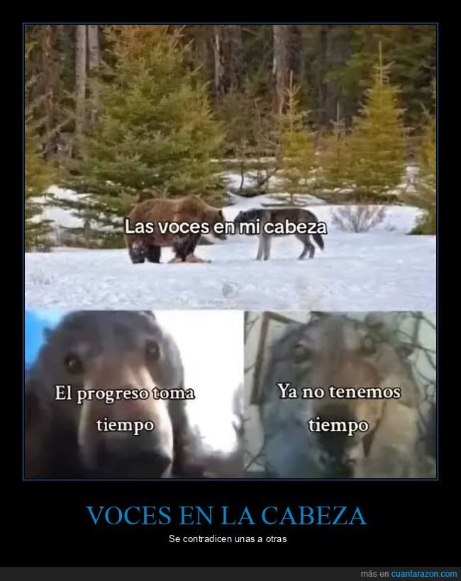 voces,cabeza,progreso,tiempo