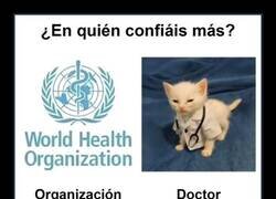 Enlace a Tiene toda mi confianza