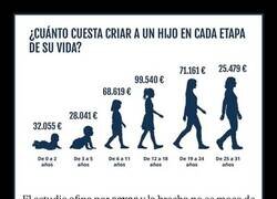 Enlace a Un gasto inasumible